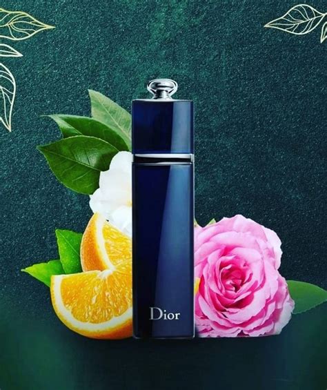 dior addict edp ceneo|Dior Addict edp 100 ml.